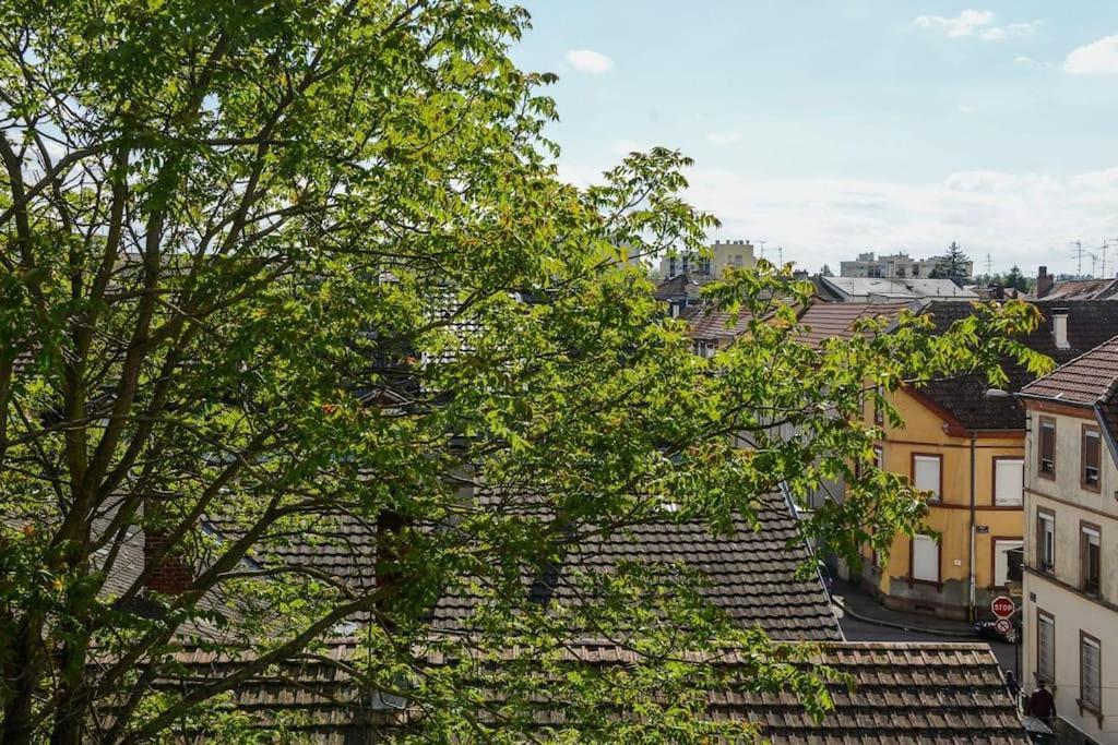 Appartement Charmant Tres Proche Centre-Ville, Parking Gratuits, Mulhouse Centre Bagian luar foto